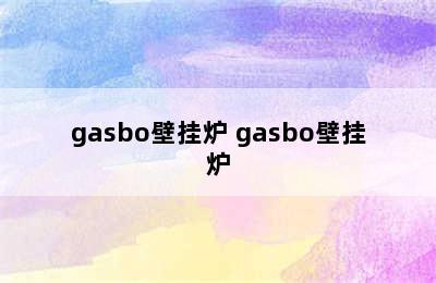 gasbo壁挂炉 gasbo壁挂炉